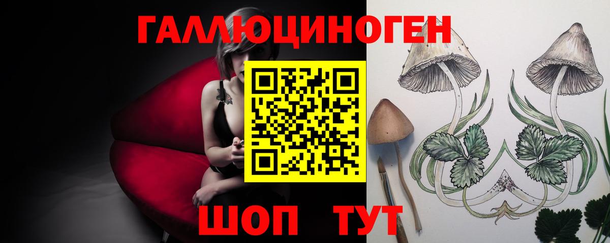 Миллерово  Галлюциногенные грибы Psilocybe  Вход с VPN 